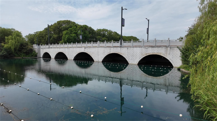 無錫蠡湖水域啟動“種草”行動，“水下荒地”加速成為“水下森林”